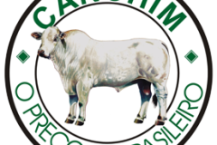 logocanchimfundotransp